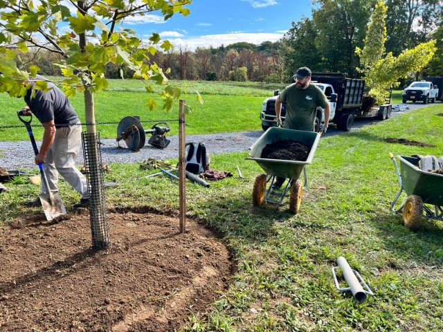 Let us handle the work. 💪 

We understand the local soil conditions, climate challenges, and which tree and plant species thrive in our region. Your new trees and shrubs will establish strong roots and deliver lasting curb appeal for your property.🌳 

📞 518.500.4132
or email us at
📧 info@nicelawns.com

#UpstateNY #Landscaping #CurbAppeal #Lawncare