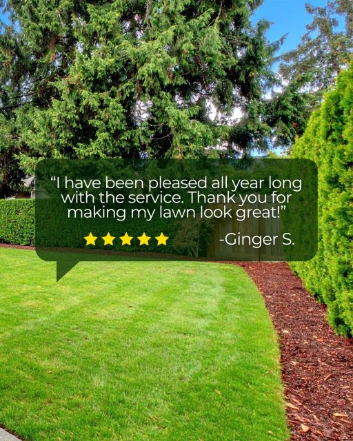 Great looking lawns are kind of our thing. 🤩 

If you need a hand with yours, or it's not as lush and green as it once was, give us a call. 

☎️ 518-864-1530
or email us at
📧 info@nicelawns.com