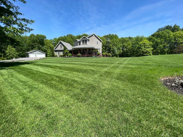 A healthy lawn doesn't happen by accident.

Weekly mowing is only one piece of the puzzle. Thick, green grass starts with proper fertilization, aeration, weed control, pest management, and a plan tailored to your property's unique needs. Grasshopper Gardens provides full-service lawn care designed specifically for Capital Region lawns.

Whether you're dealing with thin spots, weeds, patchy grass, or simply want the best-looking lawn on the block, our team can help.

🌱 Healthy roots.
🌱 Greener grass.
🌱 More time enjoying your yard.

📞 Book your FREE estimate today and let Grasshopper Gardens create a lawn you'll love all season long.

#GrasshopperGardens #LawnCare #CapitalRegionNY #SaratogaNY #AlbanyNY #HealthyLawn #Landscaping