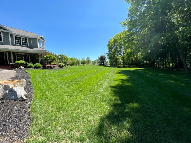 Your lawn called... it needs CPR.

Not literally.

But if it's struggling, chances are the roots are, too.

Aeration punches thousands of small holes into compacted soil, giving your lawn exactly what it's been missing:
✔️ Air
✔️ Water
✔️ Nutrients

Then we overseed to fill in thin spots and create a thicker, healthier lawn.

Sometimes the biggest transformation starts with what you can't even see.