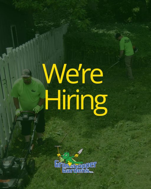 🌿 We're Growing — Join the Grasshopper Gardens Team! 🌿

Looking for more than just a job?

At Grasshopper Gardens, we're building careers, investing in our people, and creating opportunities for growth. If you enjoy working with a great team, take pride in your work, and want to be part of one of the Capital Region's leading landscape companies, we'd love to meet you.

🚨 Immediate Opportunities Available:

🌱 Lawn Care Technicians
🚜 Maintenance Team Leaders
🪨 Landscape Construction Foreman
🚛 CDL-A Drivers
📐 Landscape Designer
📋 Landscape Estimator
💼 Accounting Assistant
🤝 Sales Advisor

Why join Grasshopper Gardens?

✅ Paid Vacation Time
✅ Paid Holidays
✅ Employee Benefits
✅ Long-Term Career Opportunities
✅ New, Updated & Professional Equipment
✅ Supportive Team Environment
✅ Opportunity for Growth & Advancement

For more than 30 years, we've been helping clients enhance their lives through exceptional landscaping—and that starts with an exceptional team.

Ready to grow your career with us?

📲 Apply today or tag someone who would be a great fit!

#GrasshopperGardens #NowHiring #Hiring