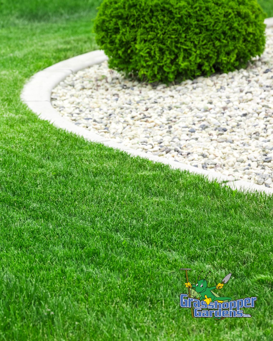 Want a beautiful lawn in 2027? The work starts this fall.

Fall is one of the most important times of year to give your lawn the care it needs. Proper cleanup, fertilization, aeration, overseeding, and overall lawn maintenance can help strengthen your grass before winter and set the stage for a healthier, greener lawn next spring.

Think of it this way: great summer lawns are made in the fall. 😉

Give your lawn a head start on 2027 with the Grasshopper Gardens team.

🌱 Request your FREE estimate today: grasshoppergardens.com