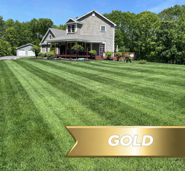 Gold LCP Promotion 28 Off 1 - Grasshopper Gardens Two-story gray house with a front porch on a well-kept lawn, surrounded by trees, under a blue sky; gold banner partially visible in foreground reading GOLD.