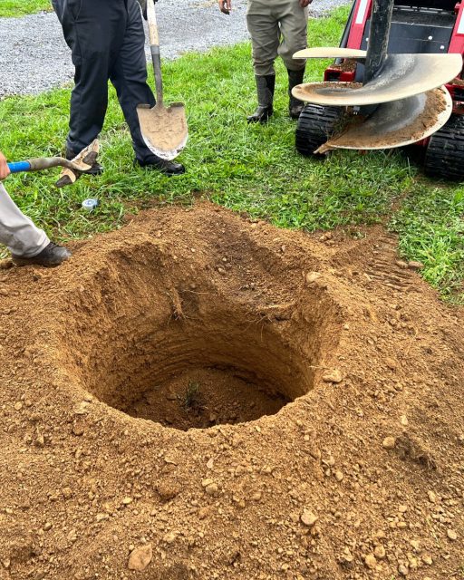 Choosing and installing trees shouldn’t feel overwhelming. 

Grasshopper Gardens handles everything, from selecting the right tree for your soil type and available space to ensuring proper tree planting techniques that promote healthy growth. 

Our transplanting services, pest control, and ongoing maintenance mean you get a full-service partner, not just a one-time install. 

The Benefits of Professional Tree Planting: 

 🌳 Boosted property value – Strategic tree installation adds visual impact and increases your home’s resale potential
 🌳 Year-round environmental benefits – Shade trees reduce cooling costs while improving air quality
 🌳 Enhanced curb appeal – The right tree in the right place transforms your landscape design instantly
 🌳 Low maintenance beauty – Native tree species adapted to our local climate require less ongoing care
 🌳 Wildlife support – Native plants attract pollinators and prevent invasive species from overtaking your landscape
 🌳 Long-term investment – Proper tree planting gives your trees the best chance to mature into healthy, sturdy specimens

Schedule a free consultation and let us do the heavy lifting.

📞 518.500.4132
or email us at
📧 info@nicelawns.com