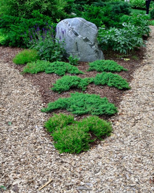 Sometimes it’s the simplest elements that make the biggest impact 🌿

Fresh mulch, thoughtfully placed shrubs and ground cover are the foundation of a polished, healthy landscape. It enhances color, improves soil health, and creates clean, defined spaces that elevate your entire property.🏡 

At Grasshopper Gardens, every detailed corner is part of a bigger vision. 
From first consult to final installation, let's turn your everyday space into something extraordinary.🌿 

📞 518.500.4132
or email us at
📧 info@nicelawns.com

https://www.grasshoppergardens.com/about-us/residential-landscaping/