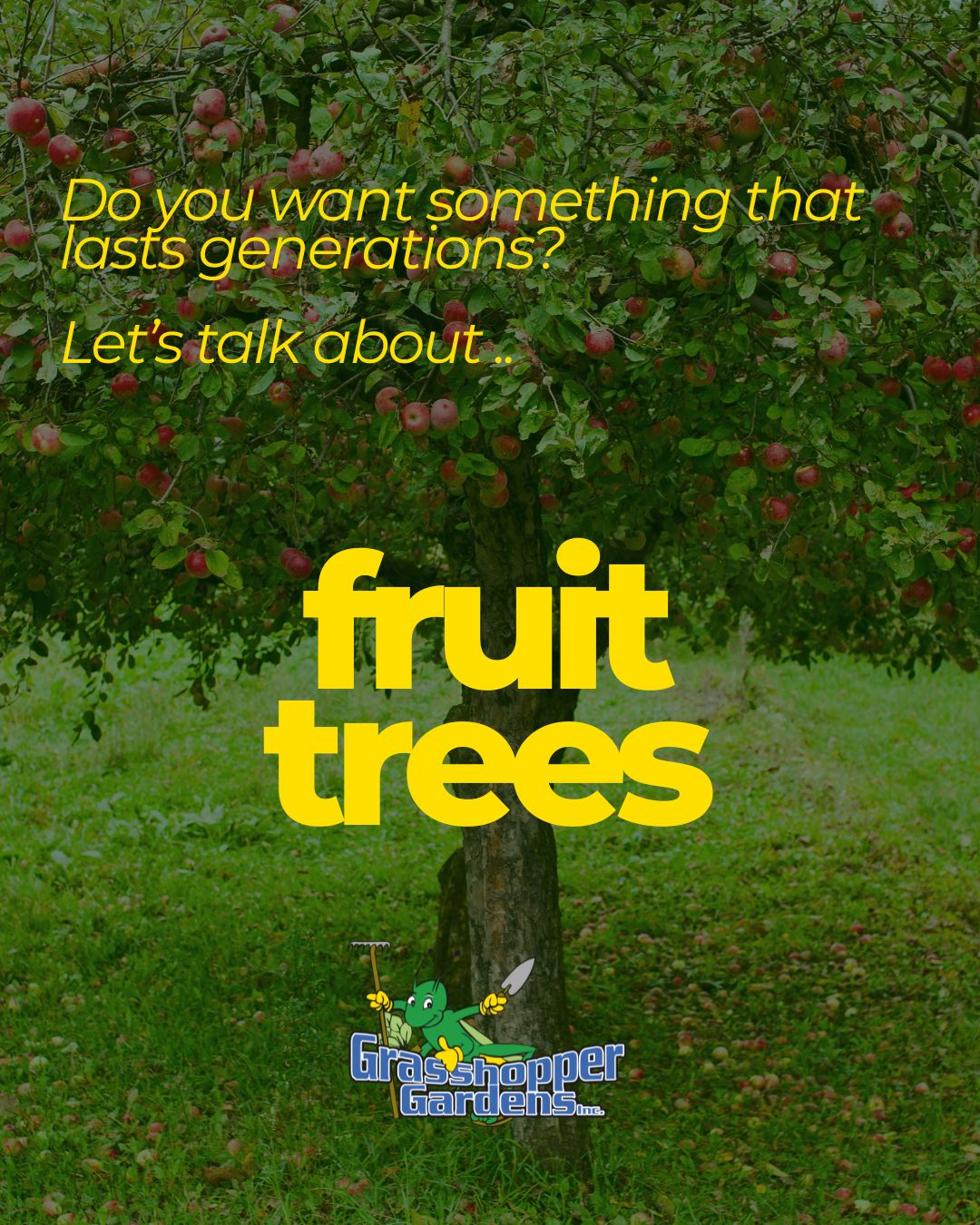 🍎🌳 Looking to Create Something That Lasts for Generations?

Plant a fruit tree.

Long after patios are built and flowers have come and gone, a fruit tree continues to grow, produce, and become part of your family's story. From summer harvests with the kids to fresh fruit picked right from your backyard, it's one of the most rewarding investments you can make in your landscape.

Some of our customer favorites include:

🍑 Toka Plum
🍎 Sweet Sixteen Apple
🍎 Frostbite Apple
🍒 Bing Cherry
🍐 Luscious Pear

Not only do fruit trees provide delicious harvests, but they also add beauty, shade, seasonal interest, and value to your property for years to come.

Whether you're planting a single tree or starting your own backyard orchard, now is the perfect time to get growing.

🌱 Shop our selection of fruit trees online today and start building a legacy that bears fruit for generations.

🛒 Browse our fruit tree collection today. https://bit.ly/4uDugSN

#GrasshopperGardens #FruitTrees #BackyardOrchard #AppleTrees #CherryTrees #PearTrees #PlumTrees #GardenGoals #ShopLocal #EnhanceYourLife #CapitalRegionNY