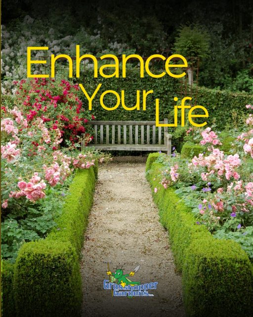 “Enhance Your Life” means more to us than just landscaping. 🌿

At Grasshopper Gardens, we believe it starts with enhancing our team — giving them the tools, support, and environment to do their best work. That passion then flows into enhancing your lawn, your yard, and ultimately the community around us.

Because a healthy, beautiful outdoor space isn’t just about curb appeal. It’s about creating a place where you can come home, relax after a long day, spend time with your kids, host family and friends, and enjoy the life you’ve built.

A well-maintained property also supports the health of your trees, landscaping, and the ecosystems surrounding your home for years to come.

Can we help turn your yard into your sanctuary?

Schedule a free consultation today:

📞 518.500.4132
📧 info@nicelawns.com