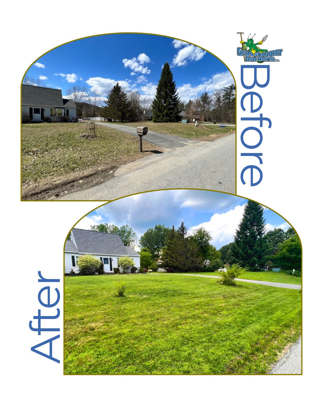 From stressed to thriving 🌱 A lush, green lawn doesn't happen by chance - it comes from the right care, at the right time.

Our fertilization services bring tired, patchy lawns back to life - restoring rich color, stronger roots, and healthy growth you can see!🤩 

At Grasshopper Gardens, we go beyond one-size-fits-all treatments. With decades of local experience across the Capital District and Lake George region, we tailor every fertilization plan to your lawn's unique needs, using slow release nutrients, targeted weed control, and a strategy built for our climate.

The result?

Stronger roots. Fewer weeds. Better resistance to pests and stress. And that rich, healthy green that instantly elevates your curb appeal.🏡 

A well-fed lawn isn't just beautiful, it's more resilient, more sustainable, and saves you money over time.

Ready to bring your lawn back to life?

📞 518.500.4132
or email us at
📧 info@nicelawns.com

https://www.grasshoppergardens.com/full-service-landscaping/