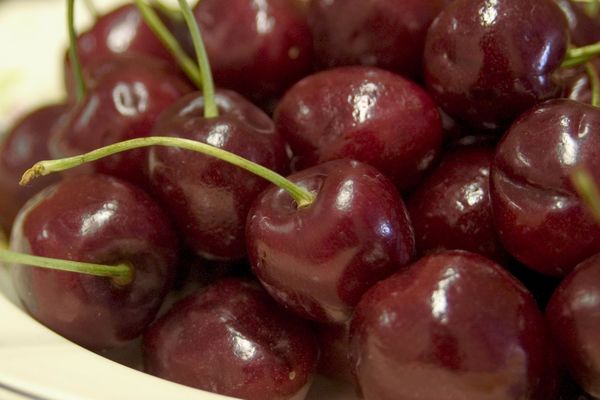 Bing-cherry - Grasshopper Gardens