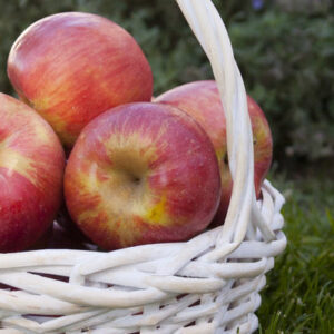 Fireside Apple