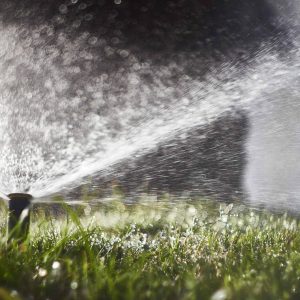 Sprinkler