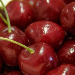 Montmorency Cherry