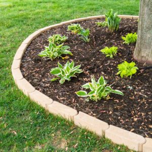 bed-garden - Grasshopper Gardens