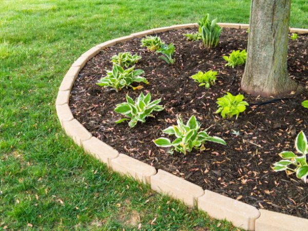 bed-garden - Grasshopper Gardens