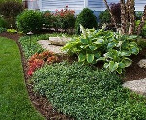 garden-bed - Grasshopper Gardens