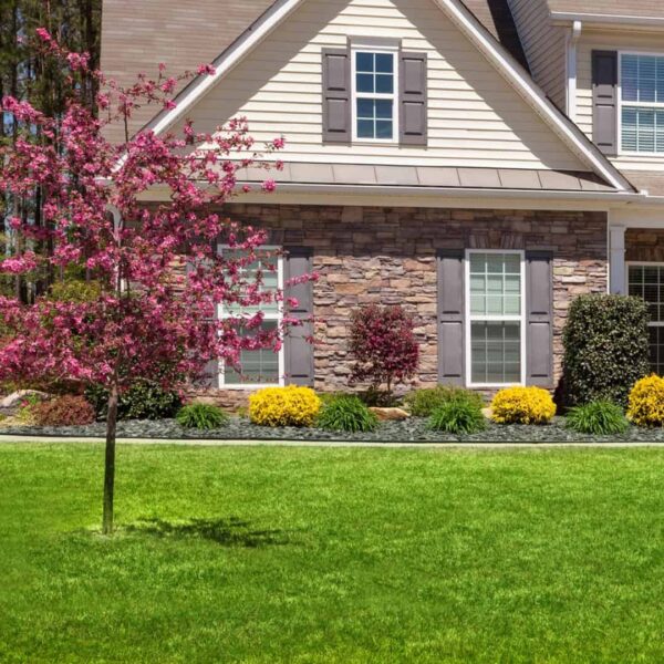 lawn - Grasshopper Gardens