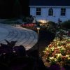 lighting-_E6652-scaled - Grasshopper Gardens