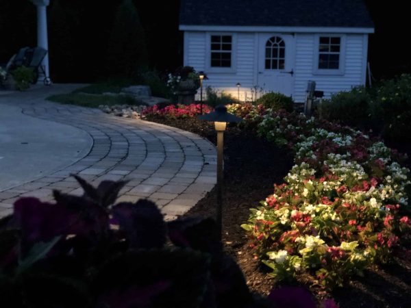 lighting-_E6652-scaled - Grasshopper Gardens