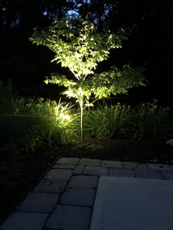 lighting_6496-scaled - Grasshopper Gardens
