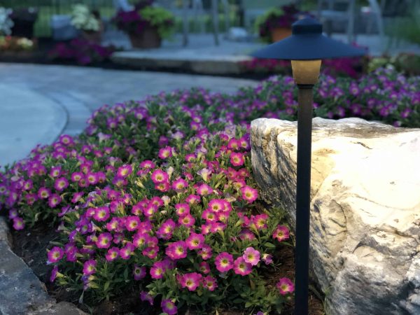 lighting_E6585-scaled - Grasshopper Gardens Landscape Lighting