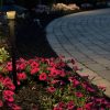 lighting_E6646-scaled - Grasshopper Gardens