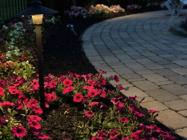 lighting_E6646-scaled - Grasshopper Gardens