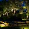 uplighting2 - Grasshopper Gardens