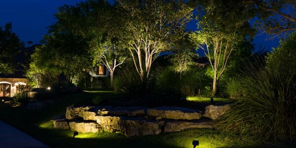 uplighting2 - Grasshopper Gardens