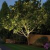uplighting4 - Grasshopper Gardens