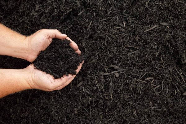 black mulch