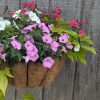 Hanging basket filled with pink, white, and red petunias cascading over green foliage against a weathered wooden fence.