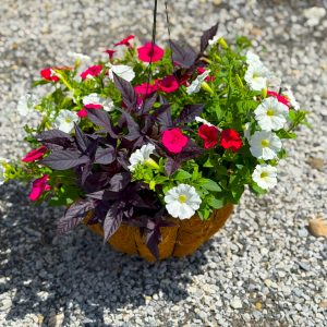 mix-20250428_171747157_iOS-1 - Grasshopper Gardens