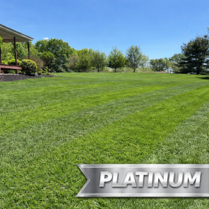 Platinum LCP Promotion 20 Off 1 - Grasshopper Gardens Expansive green lawn with a wooden porch on the left and a large silver Platinum sign in the foreground.