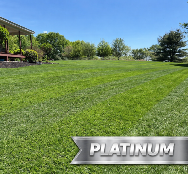 Platinum LCP Promotion 20 Off 1 - Grasshopper Gardens Expansive green lawn with a wooden porch on the left and a large silver Platinum sign in the foreground.
