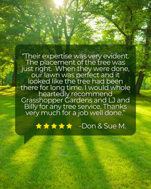 Making Don and Sue happy is our number one goal.😇 A finished job that doesn't look too new is art form! 🎨 

Need a new tree? New lawn? Let's talk.

📞 518.500.4132
or email us at
📧 info@nicelawns.com

https://www.grasshoppergardens.com/about-us/reviews/