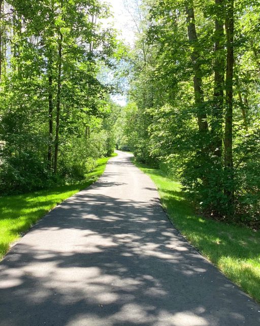 A driveway like this doesn’t just lead you home, it sets the tone the moment you arrive.
🌳 🌳 
Cleanly mowed and thoughtfully maintained, these tree-lined edges create that peaceful, “tucked into the woods” feeling, without sacrificing polish or care.
🌳 🌳 
Looking for natural beauty that meets intentional design, but not sure how to get there? Reach out for a free quote:

📞 518.500.4132
or email us at
📧 info@nicelawns.com

https://www.grasshoppergardens.com/full-service-landscaping/