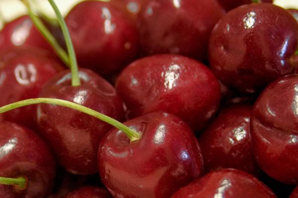 image3 - Grasshopper Gardens up close picture of cherries