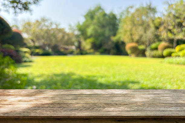 Wooden table in the foreground with a sunlit garden lawn and trees blurred in the background.